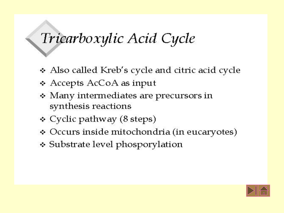 微生物学_29.ppt 第2页