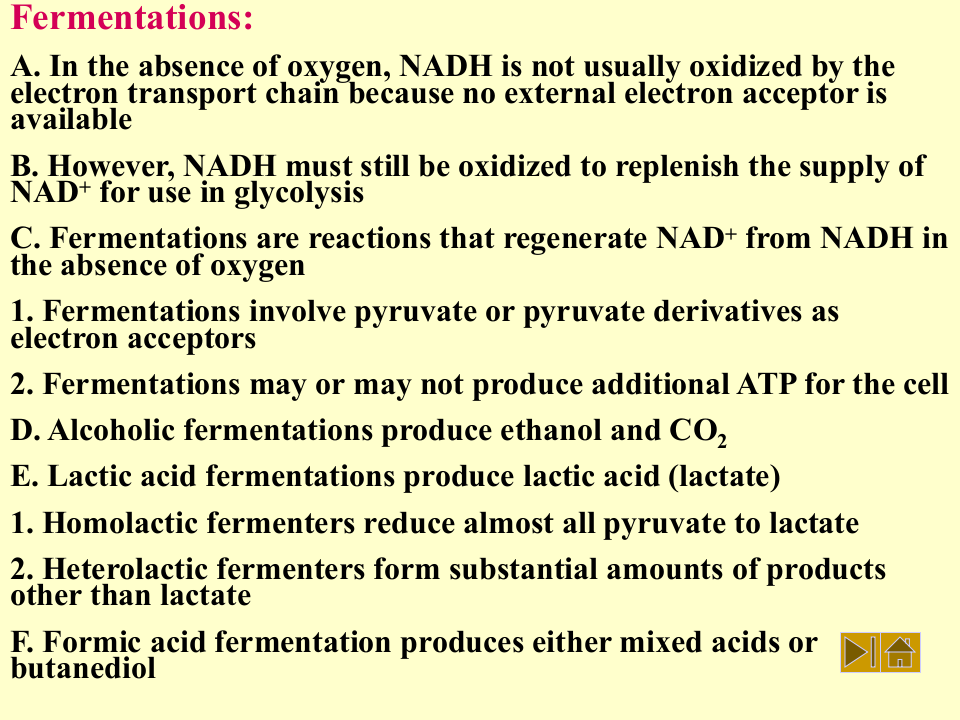 微生物学_30.ppt 第2页