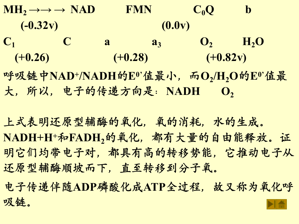 微生物学_31.ppt 第4页