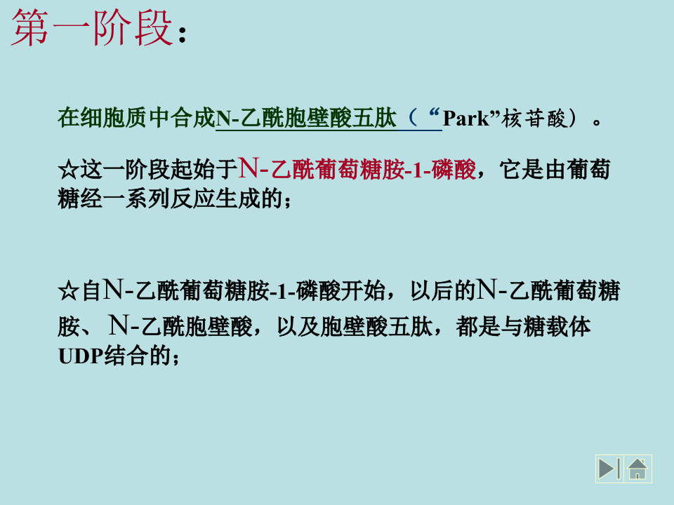 微生物学_32.ppt 第4页