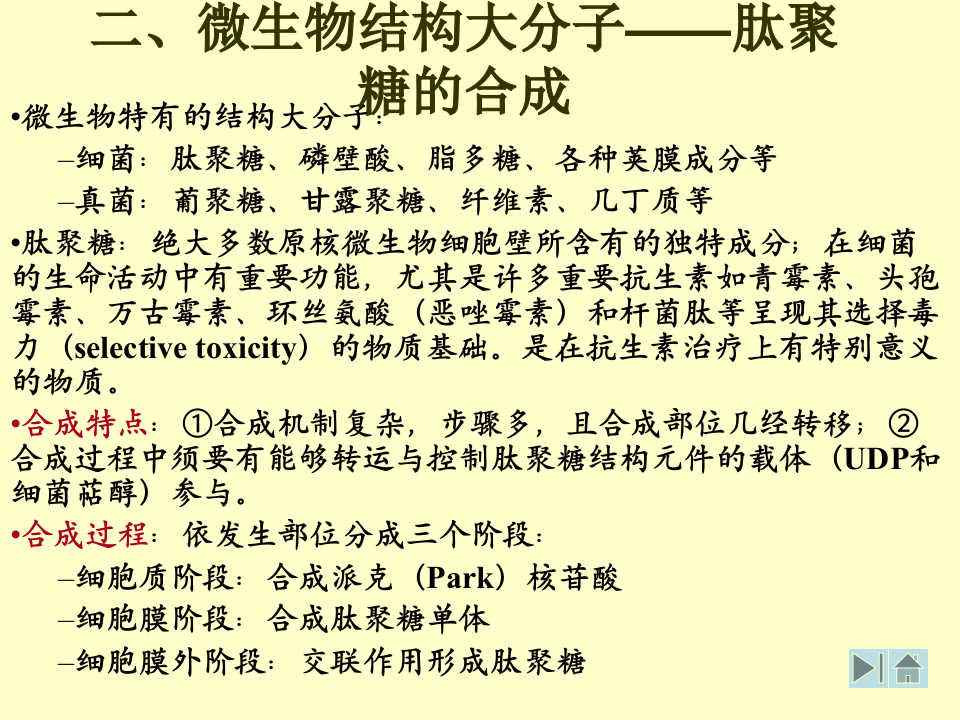 微生物学_32.ppt 第2页