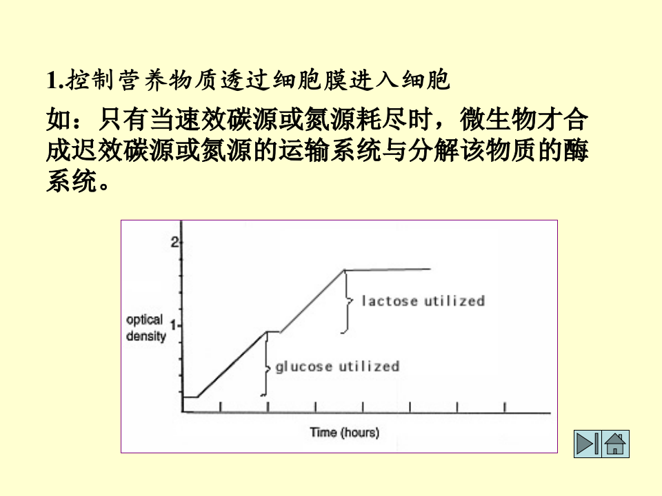 微生物学_33.ppt 第4页