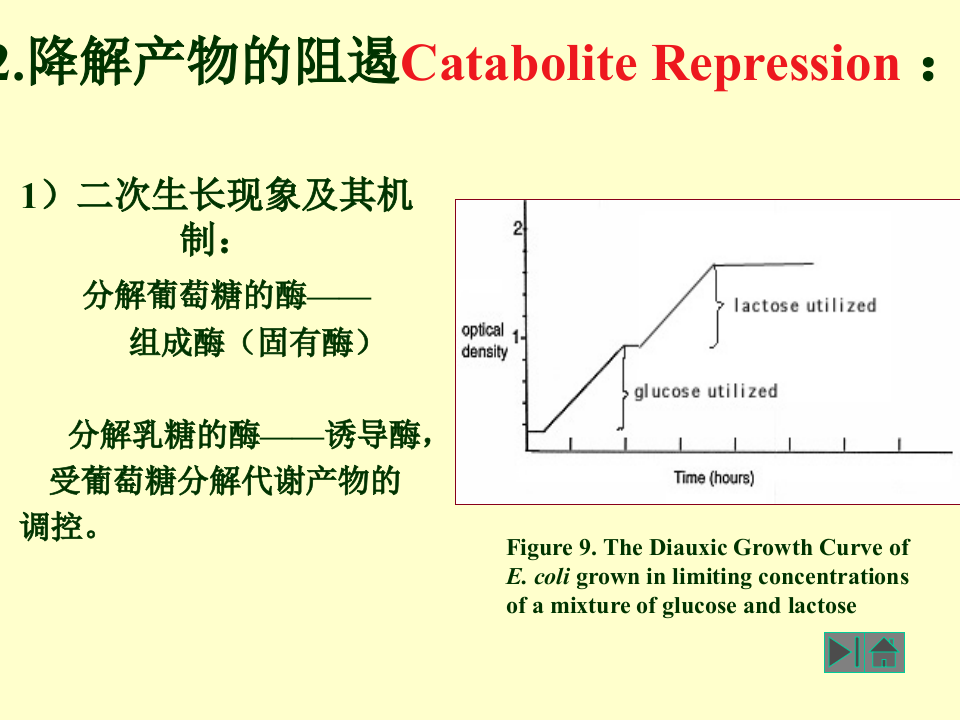 微生物学_35.ppt 第1页