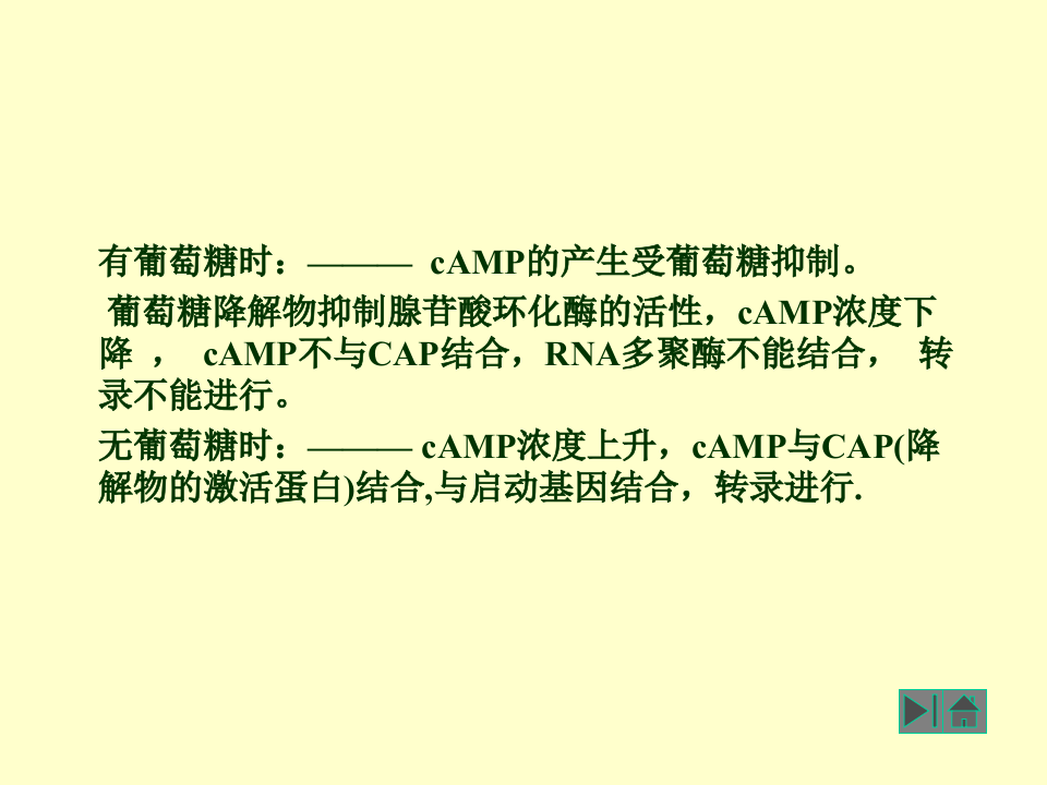 微生物学_35.ppt 第3页