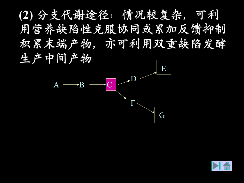 微生物学_36.ppt 第5页
