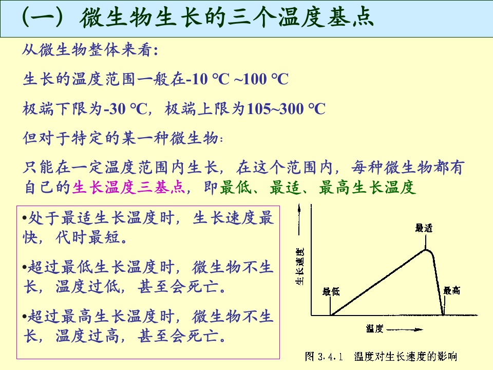 微生物学_38.ppt 第5页