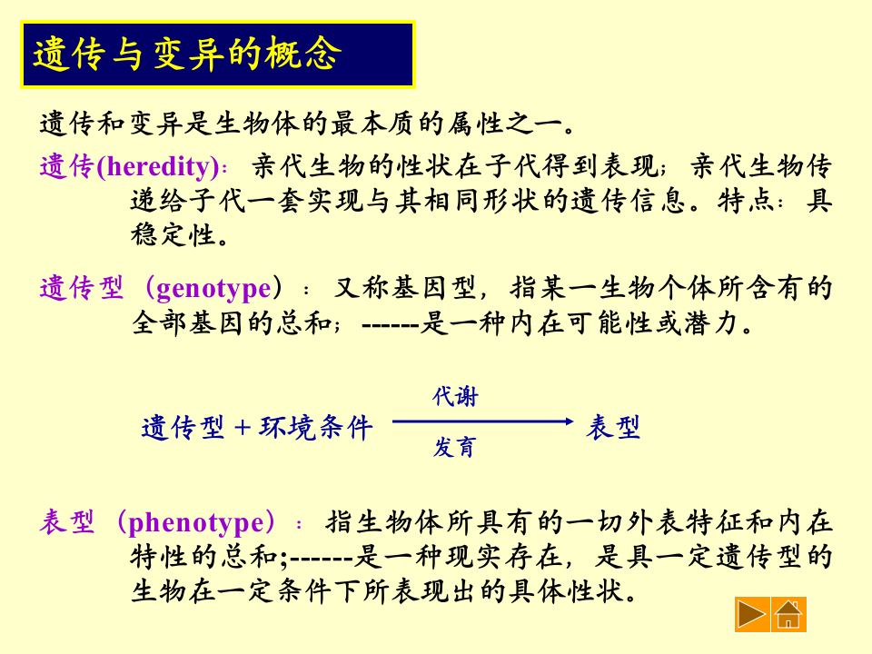 微生物学_39.ppt 第5页