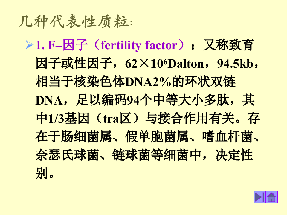 微生物学_40.ppt 第4页