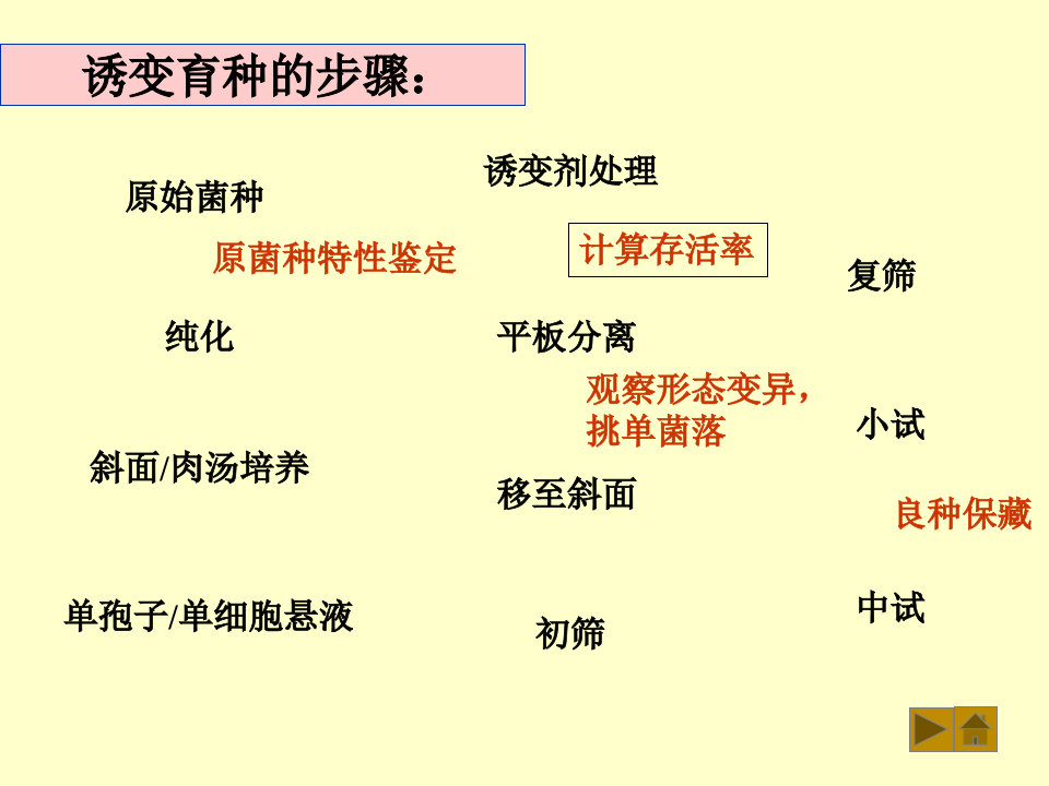微生物学_42.ppt 第2页