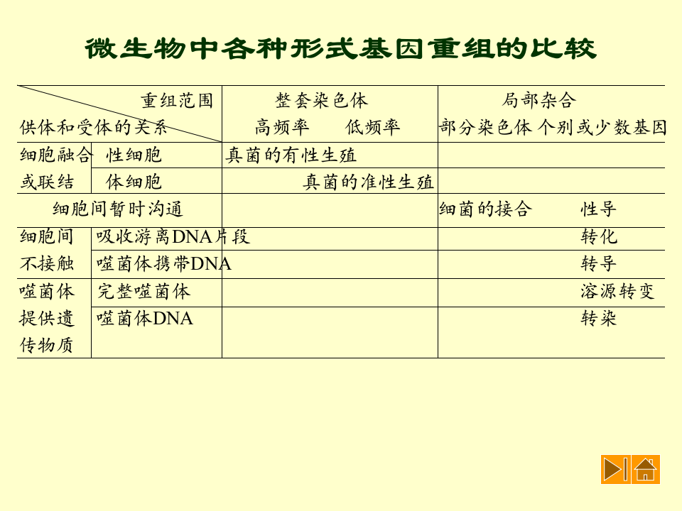微生物学_44.ppt 第4页