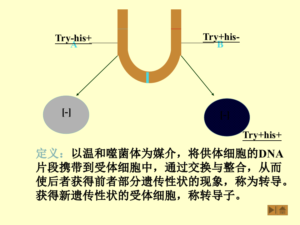 微生物学_45.ppt 第2页