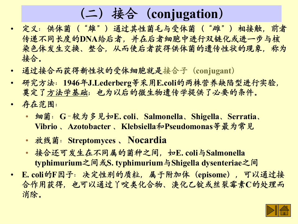 微生物学_46.ppt 第1页