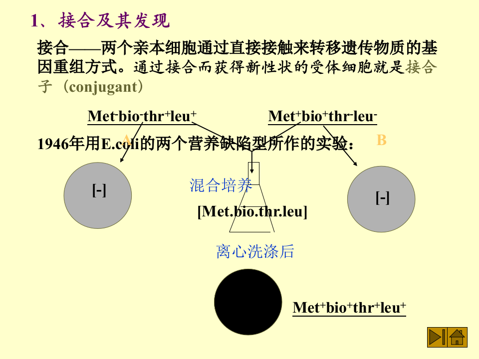 微生物学_46.ppt 第2页