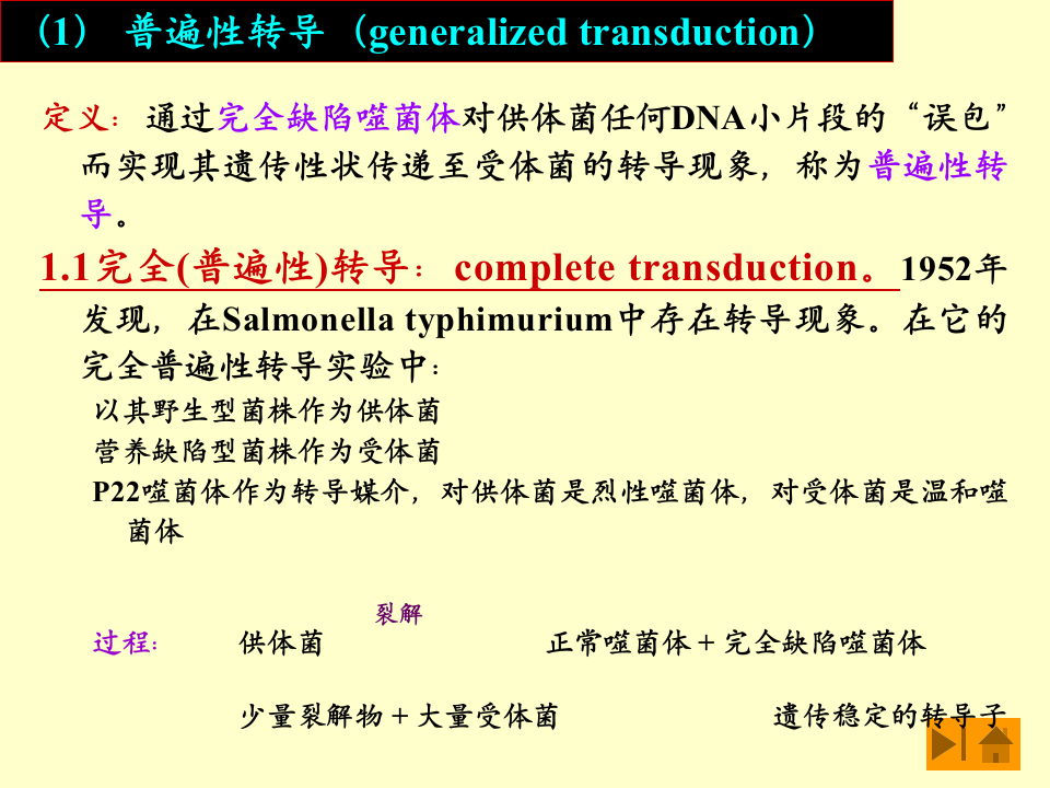 微生物学_47.ppt 第4页