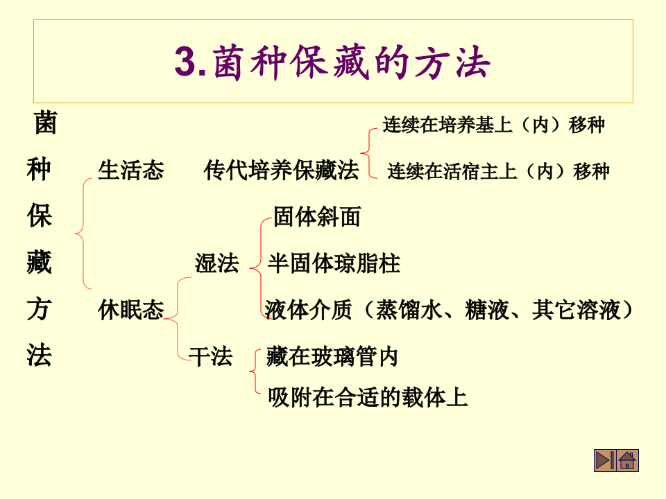 微生物学_48.ppt 第5页