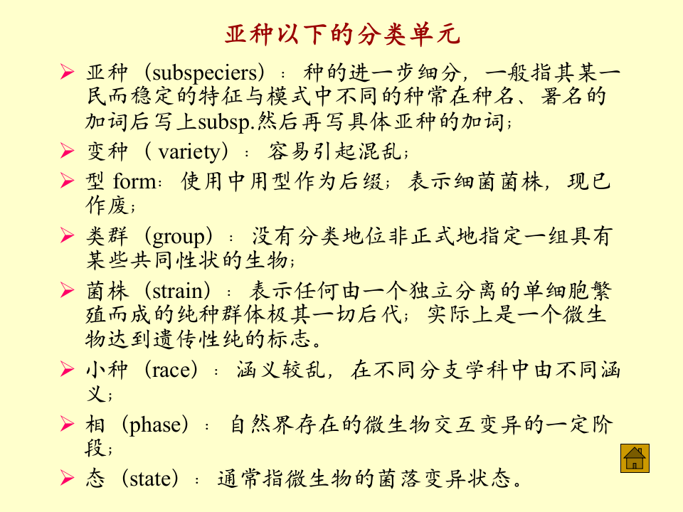 微生物学_51.ppt 第5页