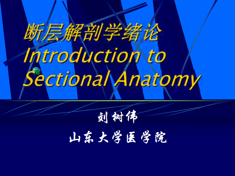 断层解剖学绪论.pdf 第1页