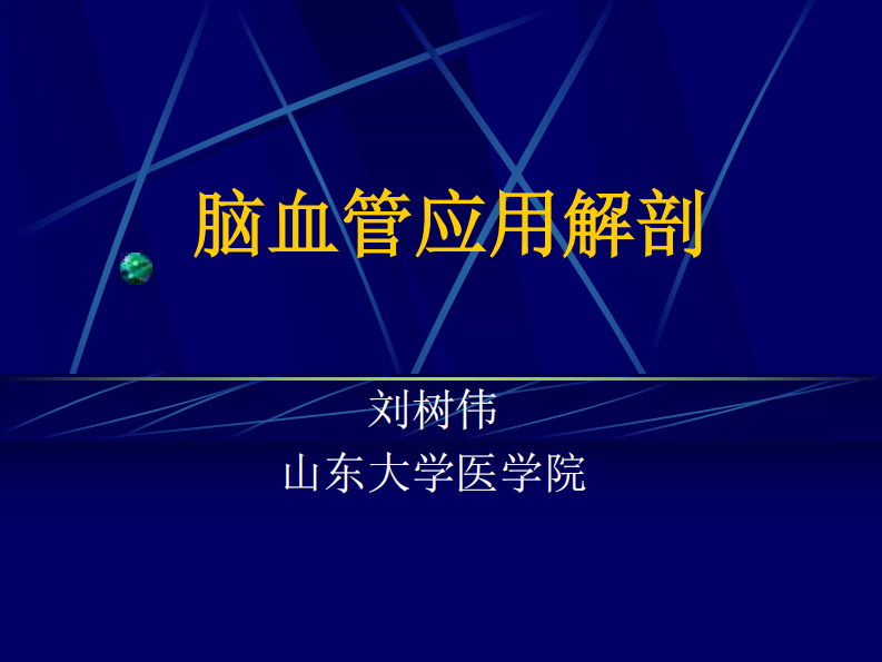 05 脑血管应用解剖.pdf 第1页