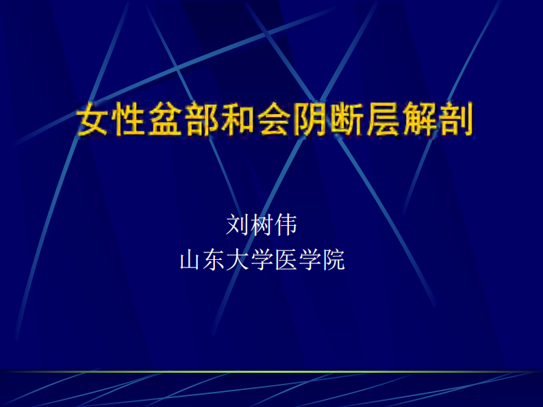 12 女性盆部和会阴断层解剖.pdf 第1页