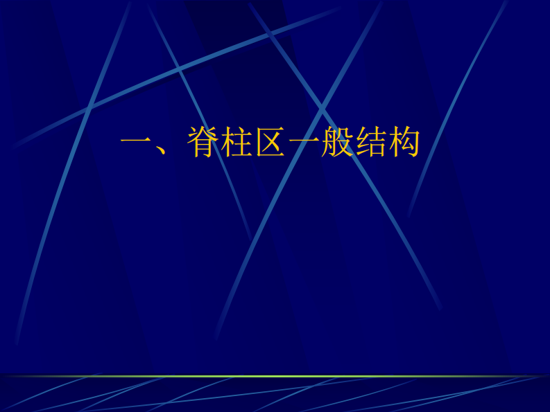 13 脊柱区断层解剖及CT、MRI.pdf 第2页