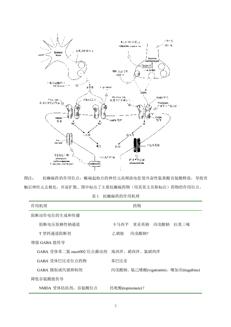 第十六章   抗癫痫药和抗惊厥药.doc 第2页