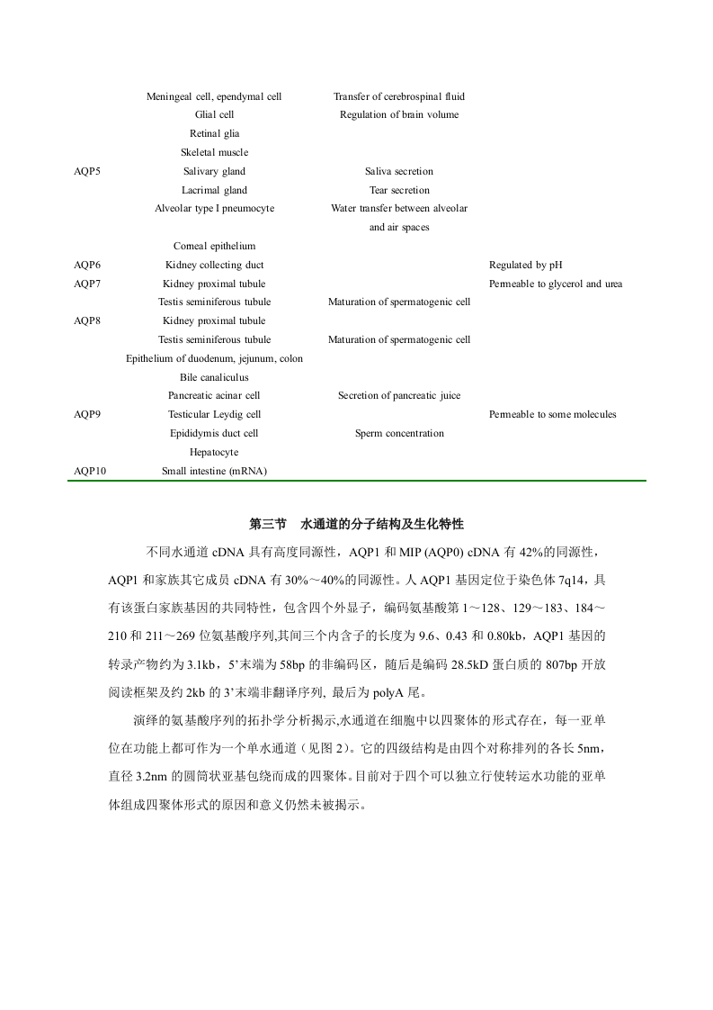第二十四章  利尿药和脱水药.doc 第4页