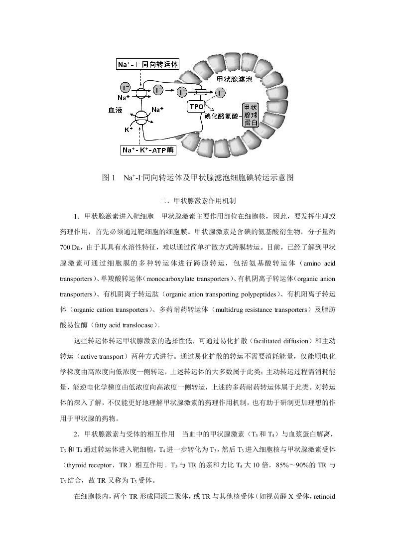第三十六章  甲状腺激素及抗甲状腺药.doc 第2页