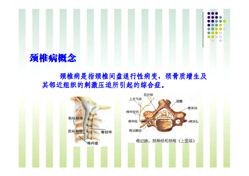 治疗颈椎病的最好治疗方法.pdf 第2页