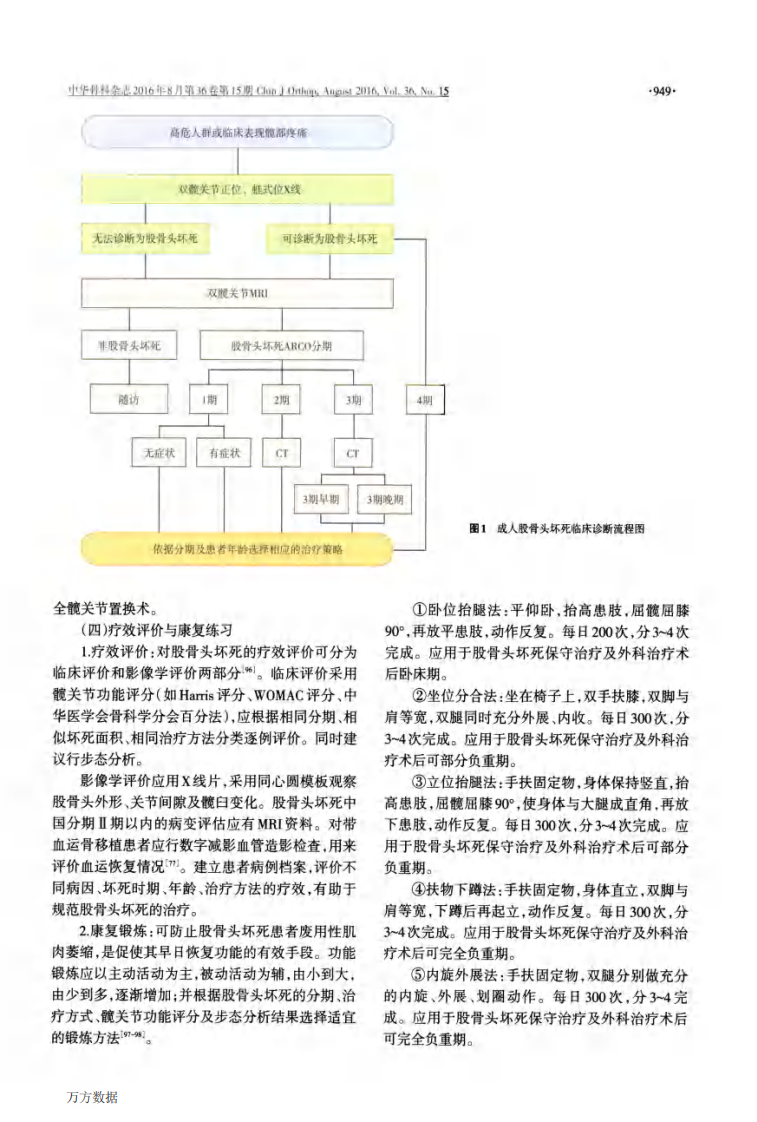 成人股骨头坏死临床诊疗指南(2016).pdf 第5页
