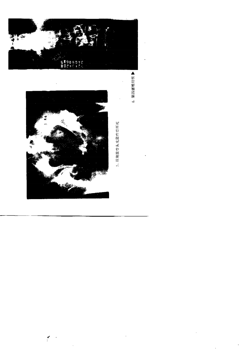 中医骨病证治（夏大中）.pdf 第5页