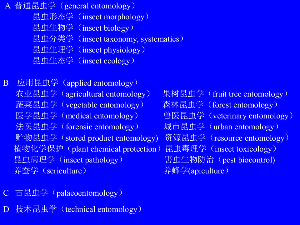 昆虫学1.ppt 第4页