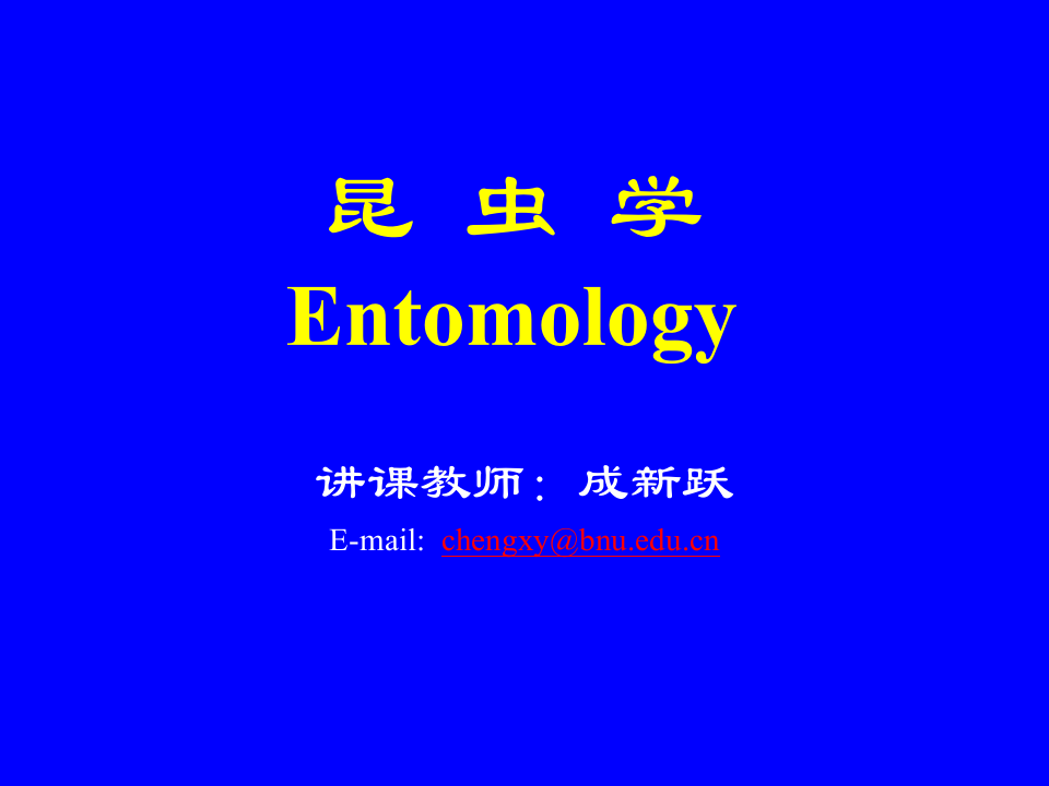 昆虫学1.ppt 第1页