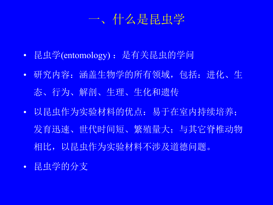 昆虫学1.ppt 第3页