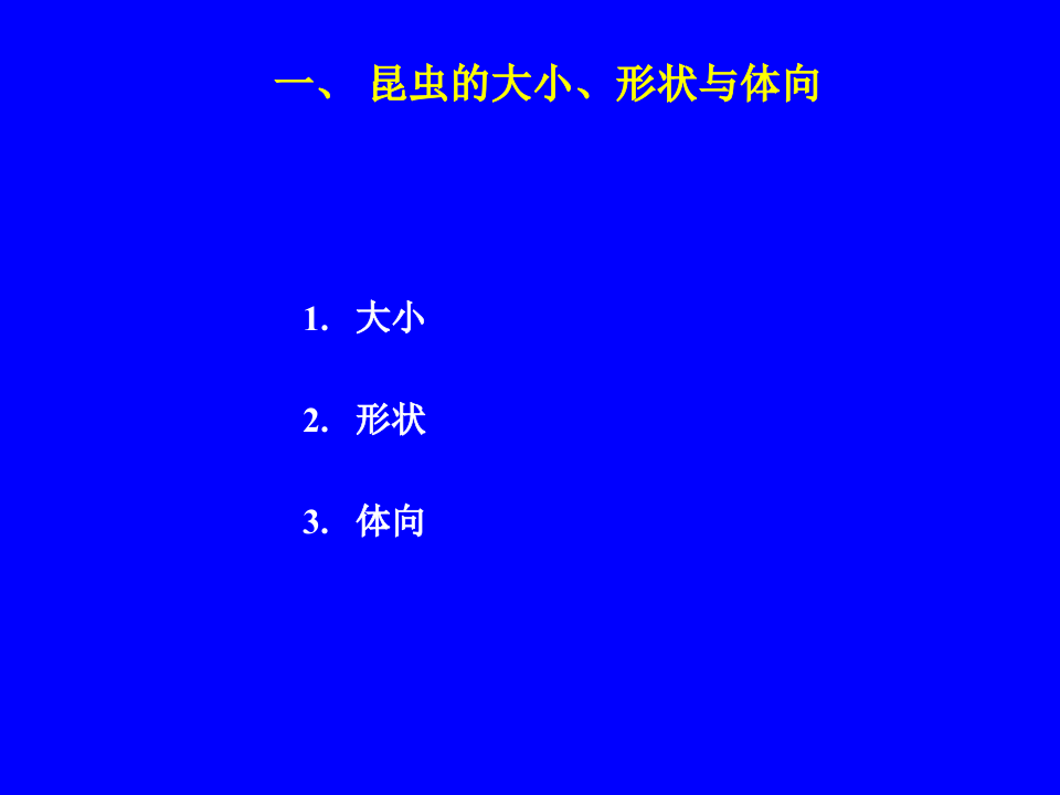 昆虫学2.ppt 第3页
