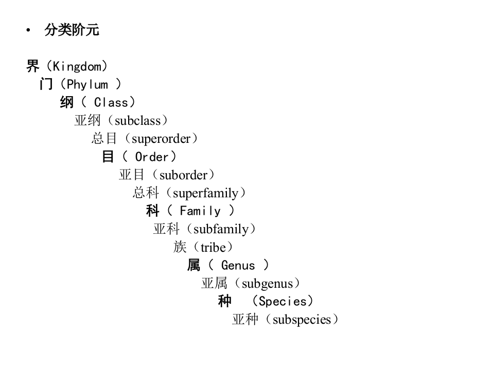 昆虫学5.ppt 第3页