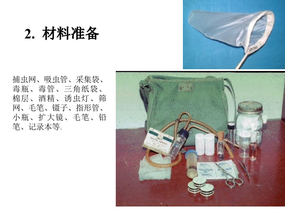 昆虫学6.ppt 第5页