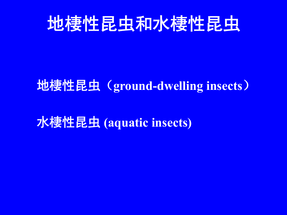 昆虫学8.ppt 第1页