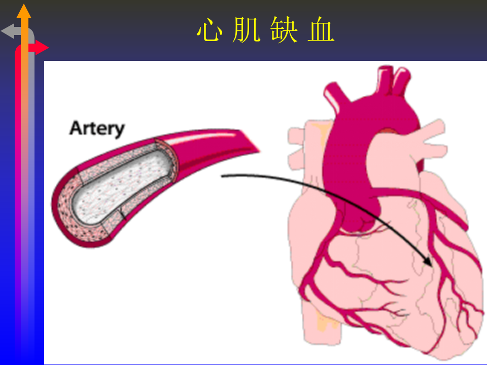心电图－第三次课（4、5节）.ppt 第1页