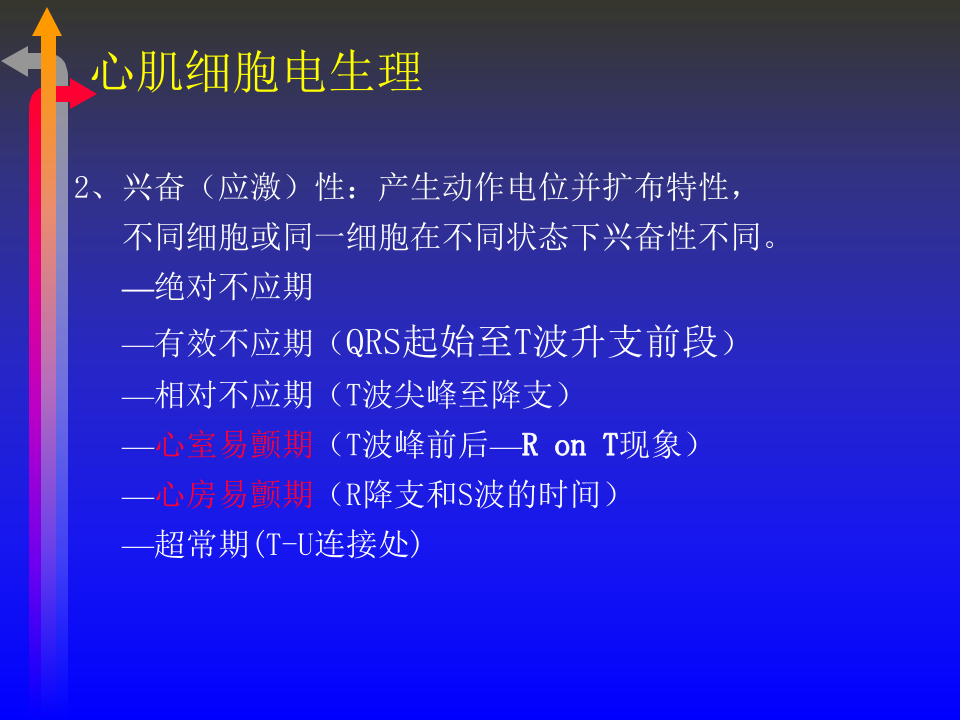 心电图－第四次课.ppt 第3页