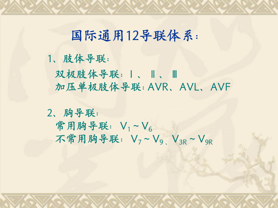 心电图基础向量.ppt 第4页