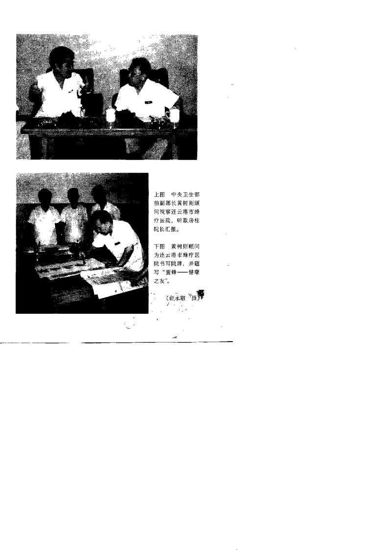 百病蜂针疗法（房柱）.pdf 第2页