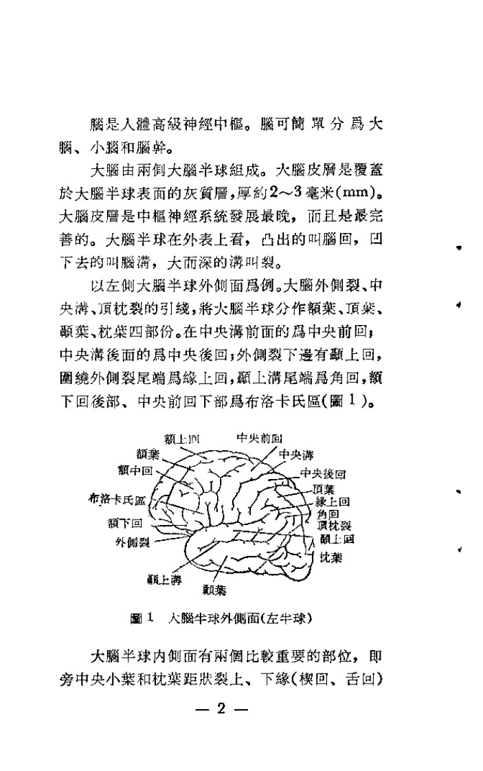 简明头针疗法（钟稷民）.pdf 第3页