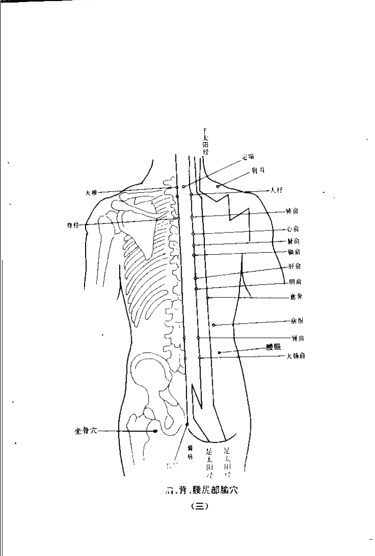 一针一穴的妙用（赵振景）.pdf 第5页