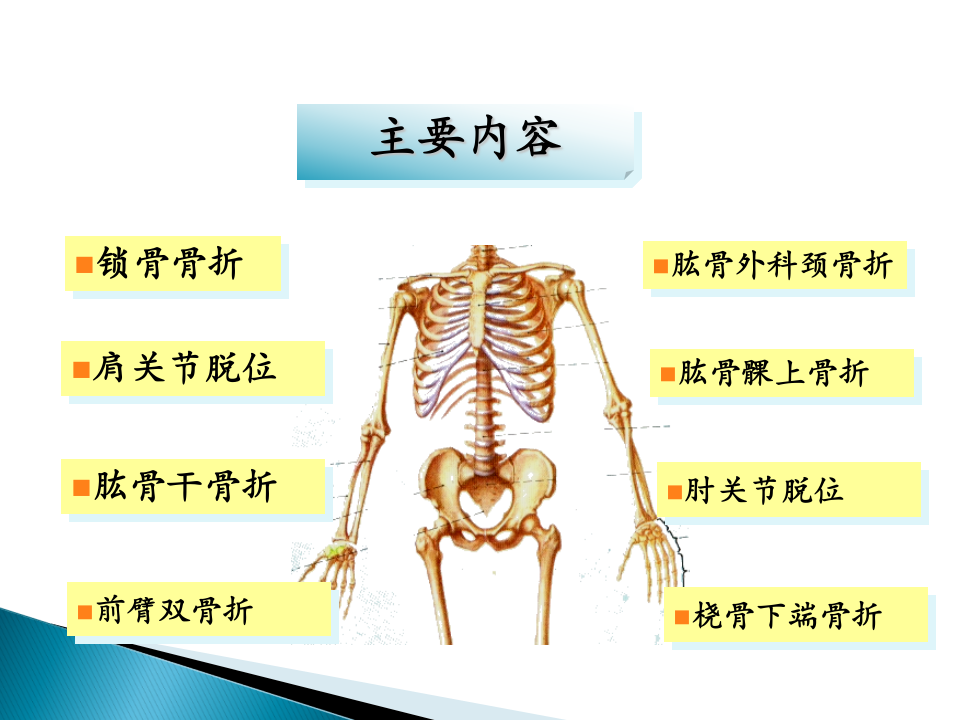 上肢骨折五年制2015-04-14.ppt 第3页