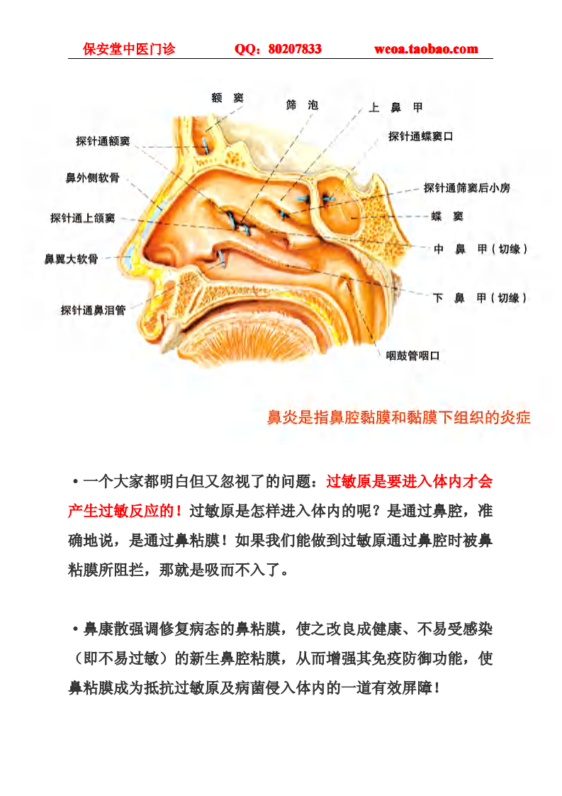 过敏性鼻炎症状.pdf 第2页