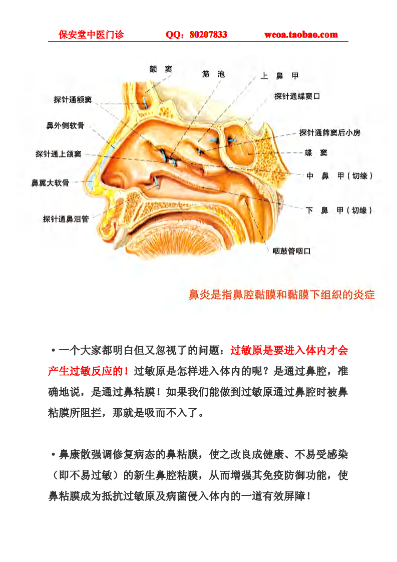 过敏性鼻炎怎么办.pdf 第2页