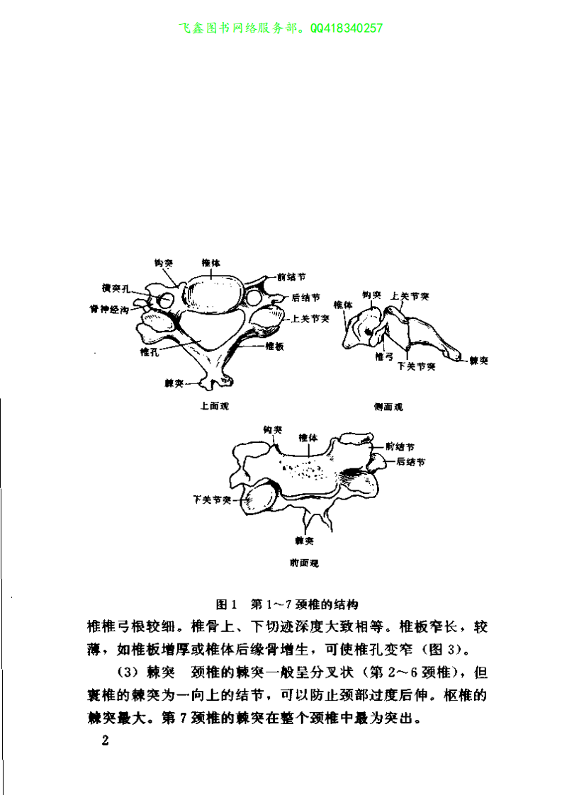 颈肩病康复治疗图解--王振国著.pdf 第5页
