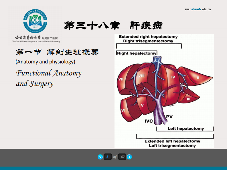 75内科-肝疾病及门脉高压.pdf 第4页