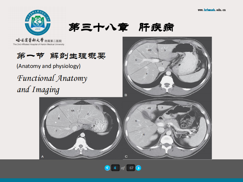 75内科-肝疾病及门脉高压.pdf 第5页