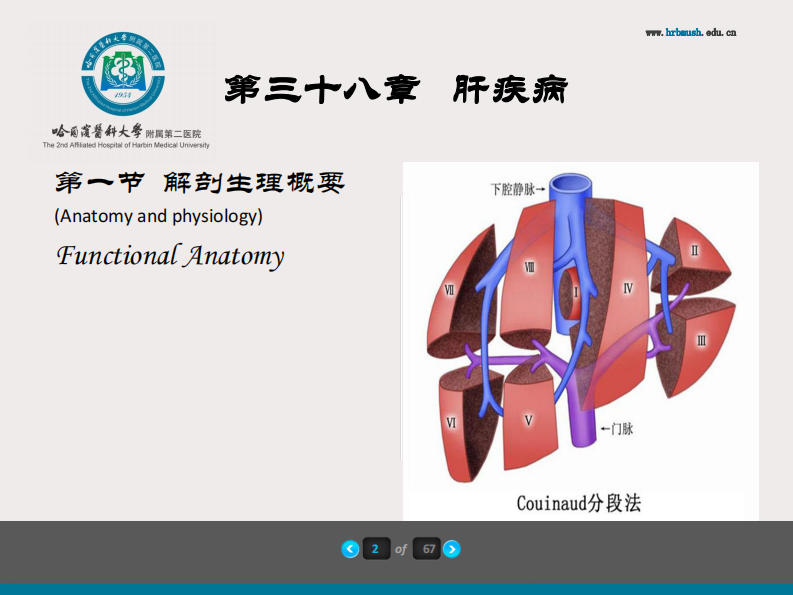 75内科-肝疾病及门脉高压.pdf 第3页
